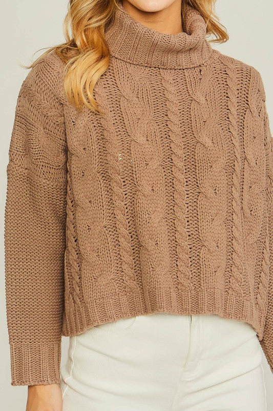 Turtle Neck Cable Knit Sweater