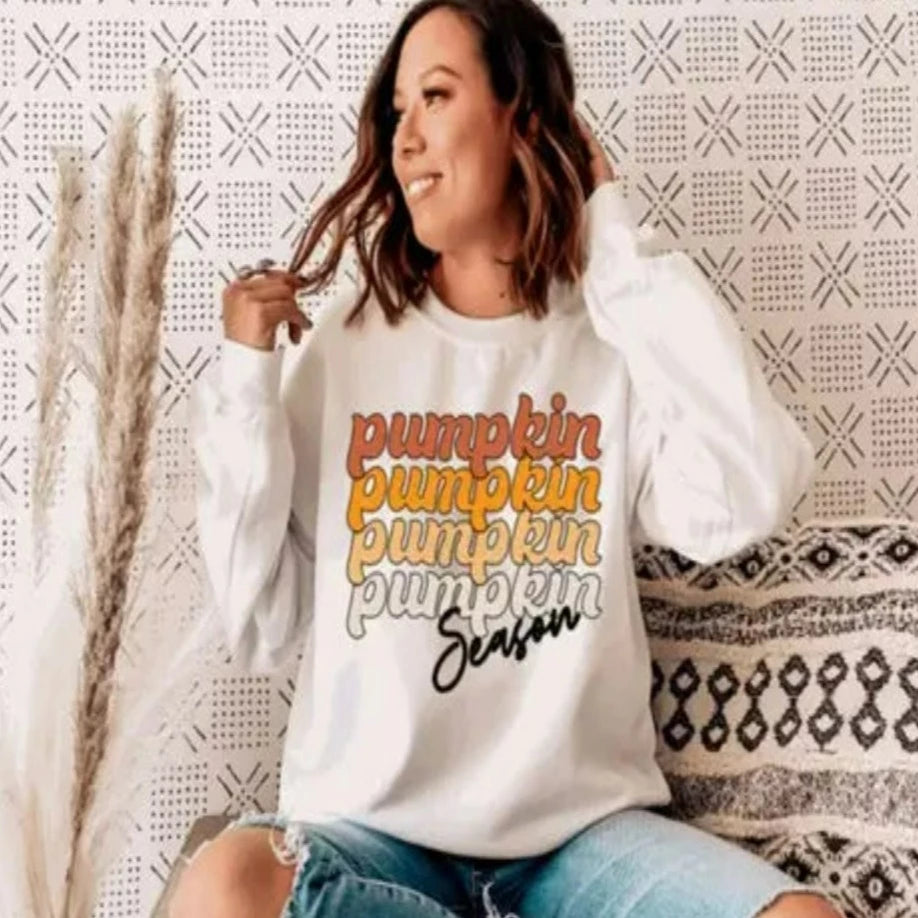 Pumpkin Season sweatshirt www.chasethebutterflies.com